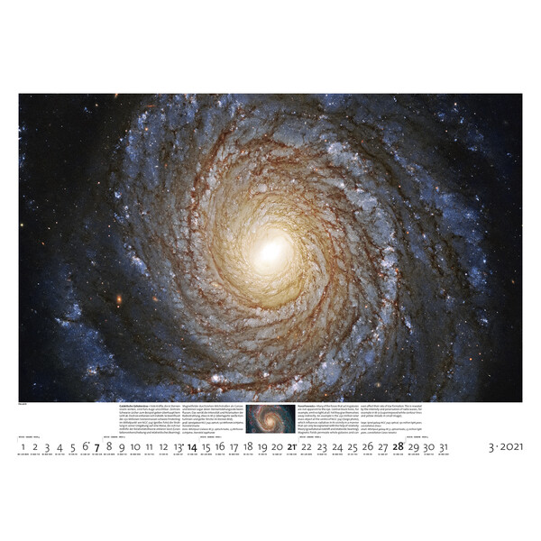 Palazzi Verlag Calendar Sternzeit 2021