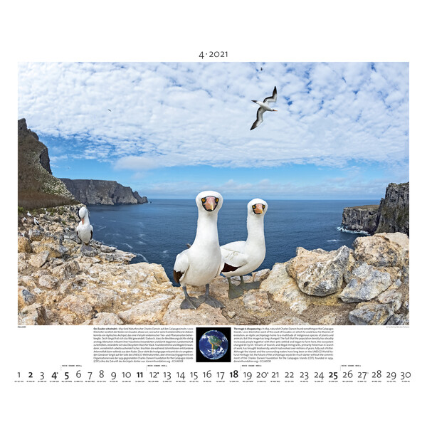 Palazzi Verlag Calendar Planet Earth 2021