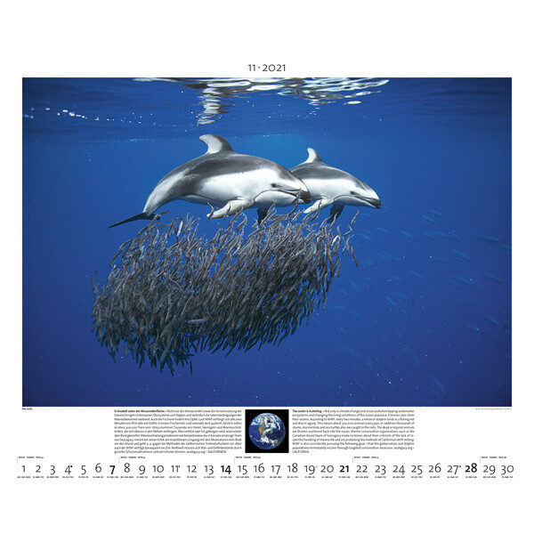 Palazzi Verlag Calendar Planet Erde 2021