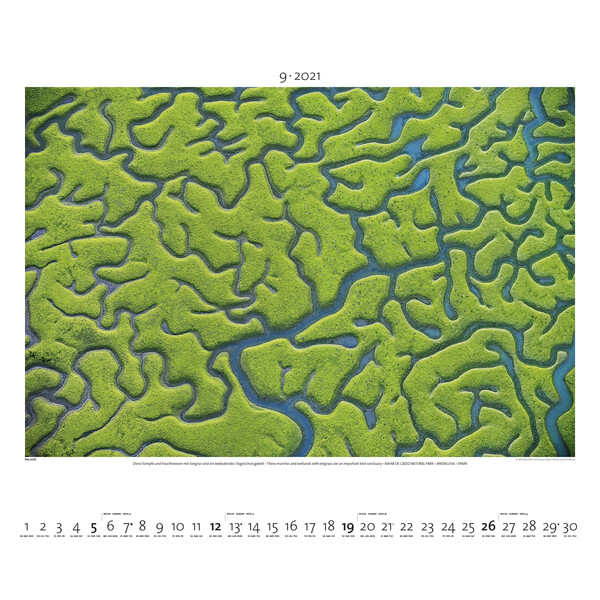 Palazzi Verlag Calendar Lumea de sus 2021