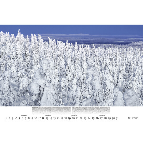 Palazzi Verlag Calendar Pădurile pământului 2021
