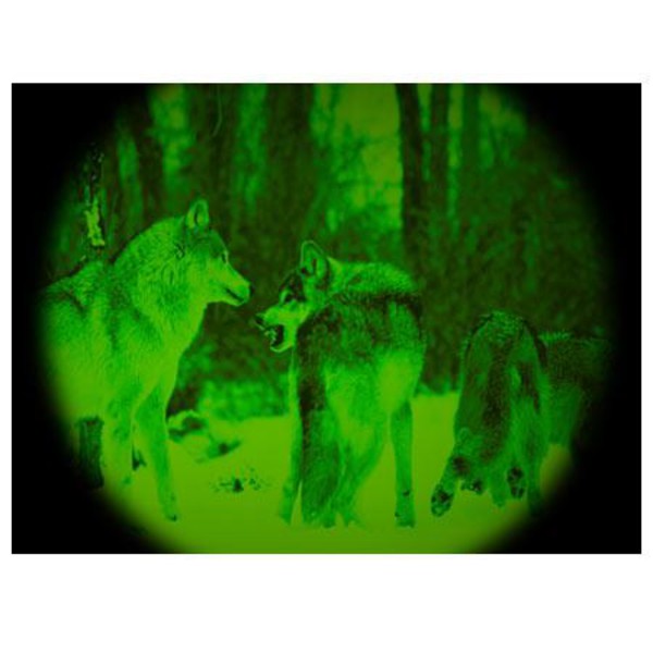 ATN Night Storm-2IA 3,5x50, negru
