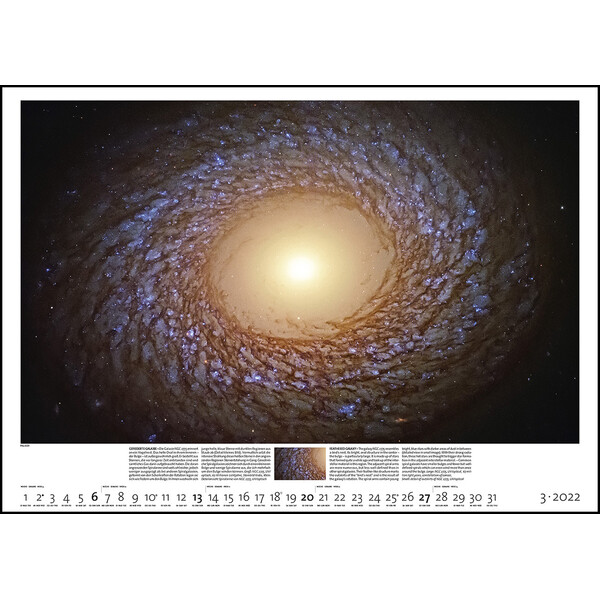 Palazzi Verlag Calendar Sternzeit 2022