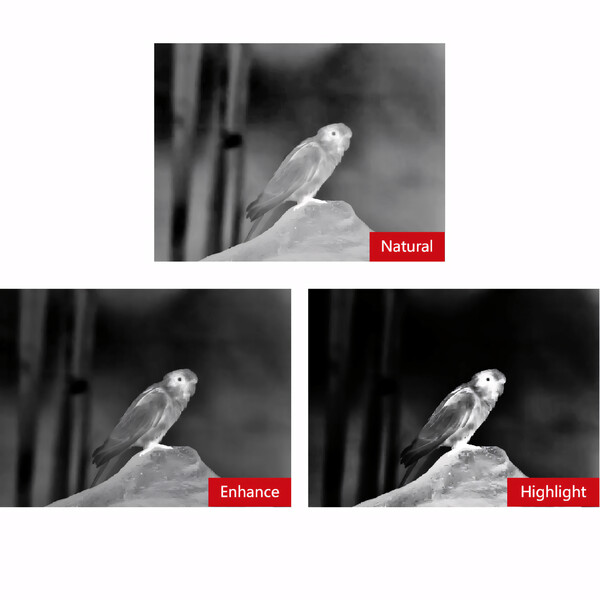 Guide Camera de termoviziune TN650