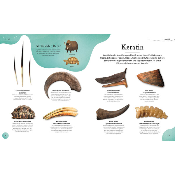 Dorling Kindersley Große und kleine Schätze der Natur