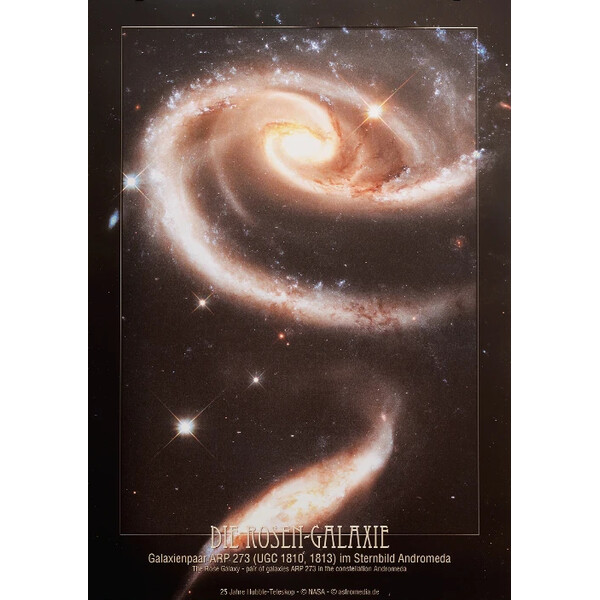 AstroMedia Poster Galaxia Rose Arp 273