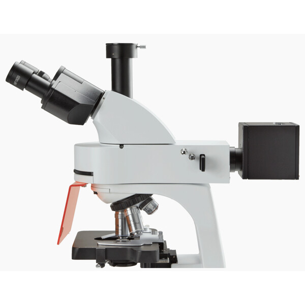 Euromex Microscop Mikroskop BS.3153-PLFi, trino, 40x-1000x