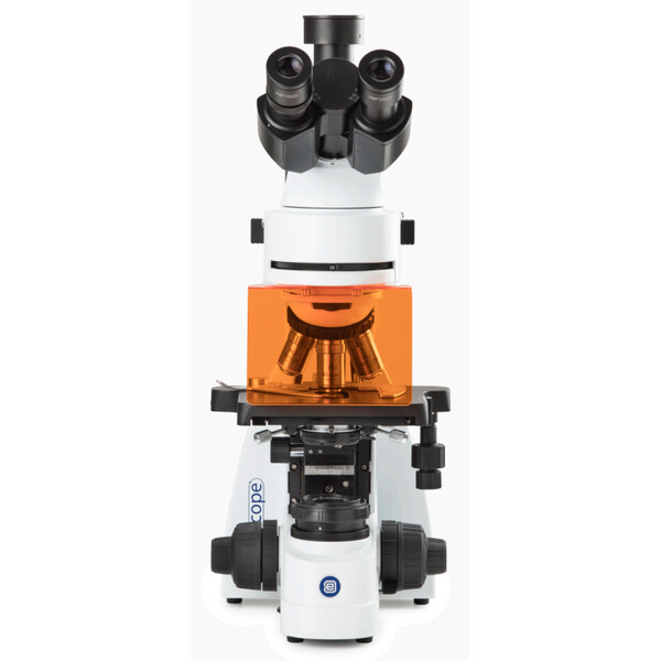 Euromex Microscop Mikroskop BS.3153-PLFi, trino, 40x-1000x