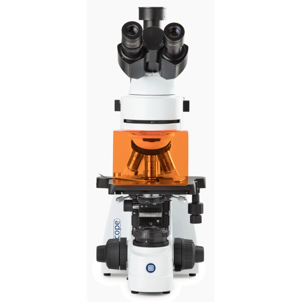 Euromex Microscop BS.3153-PLFi, trino, 40x-1000x