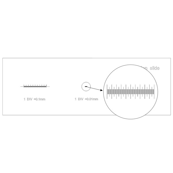 MAGUS Diapozitiv de microscop pentru calibrare CS3
