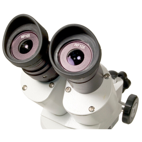 Levenhuk Microscopul stereoscopic 3ST 20-40x Halogen