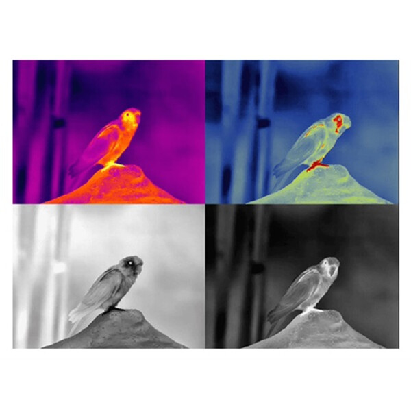 Guide Camera de termoviziune TN430