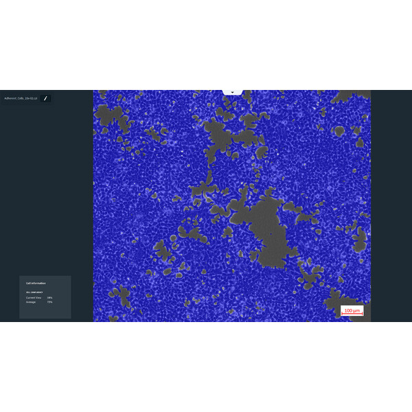 ZEISS Software Modul Labscope AI Cell Confluency DLic