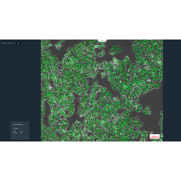 ZEISS Software Modul Labscope AI Cell Counting DLic