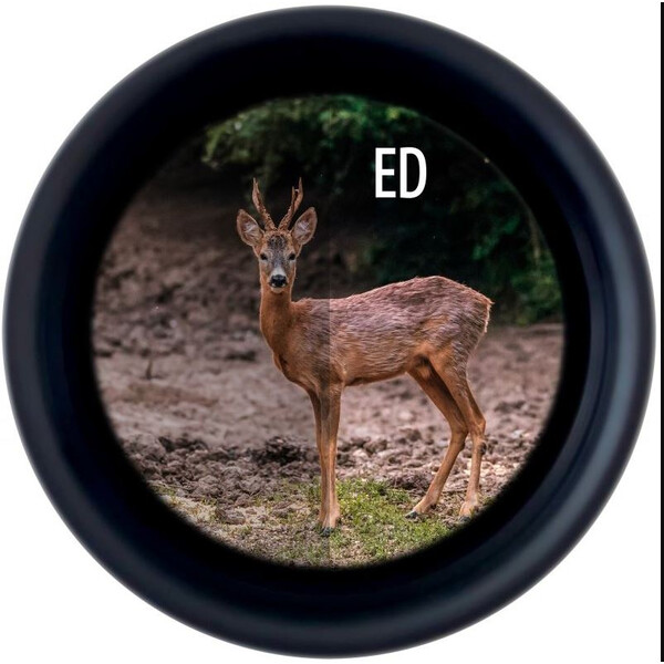 Minox Binoclu X-Tour 8x26