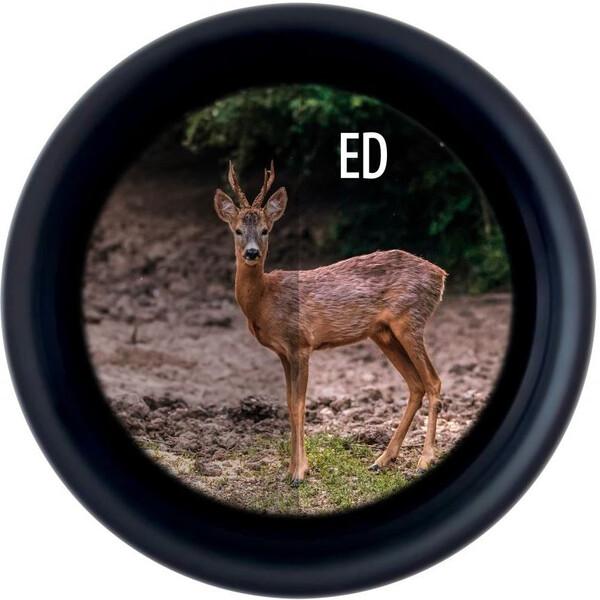 Minox Binoclu X-Tour 10x42