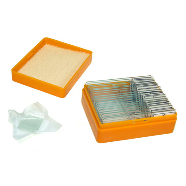 Levenhuk Preparate permanente N20 NG