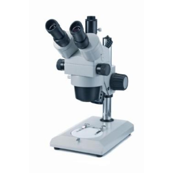 Novex   RZT-PL Zoom, trinocular
