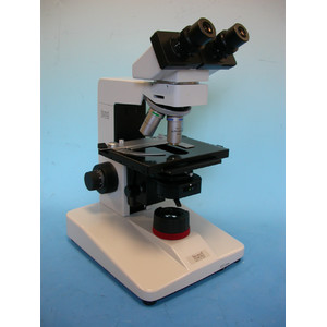 Hund Microscop H 600 Wilozyt Plan, bino, ph, 100x, - 1000x