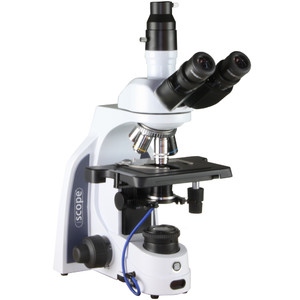 Euromex Microscop iScope IS.1153-PLi/DF, trino, HF, DF, infinity, plan, 40-1000x, LED