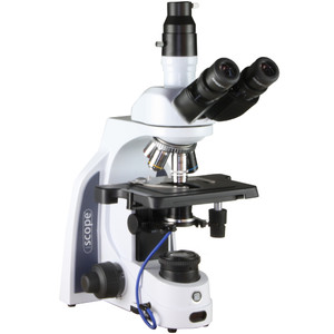 Euromex Microscop iScope IS.1153-PLi/DFI, DF, trino, infinity, plan, 4x-100x, 100x iris, IOS super contrast oil, spring, LED, 3W
