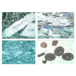 LIEDER Set preparate microscop, 4 buc., roci si minerale, fosile si meteori, set de baza nr. VI, marime 30x45 mm, fara cutie