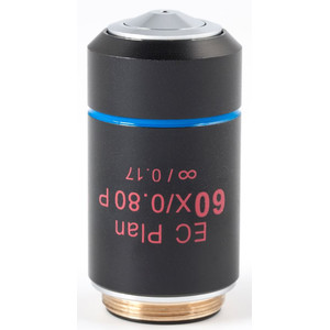 Motic Obiectiv EC PL P, CCIS, plan, achro, (spannungsfrei) 60x/0.80, S, w.d. 0.35mm (BA-310 POL)