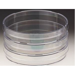 Windaus Vase Petri 94x16mm, polistiren 20 buc.