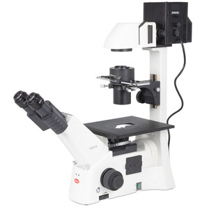Motic Microscop inversat AE31E bino, infinity, 40x-400x, phase, Hal, 100W