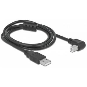 PegasusAstro Set cablu USB 2x USB2.0 Type-B 1m