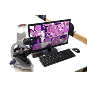 Optika Microscop -WI-LEARN Stație profesor - B-290