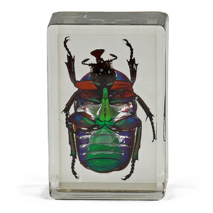 Omegon preparat permanent gândac verde