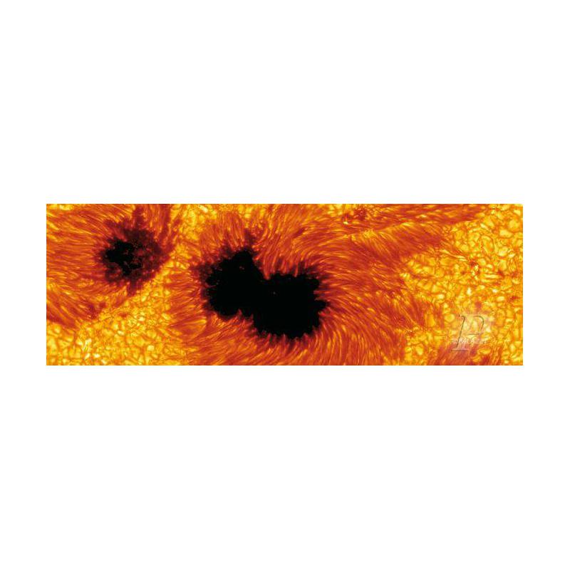 Palazzi Verlag Poster Sun Spots
