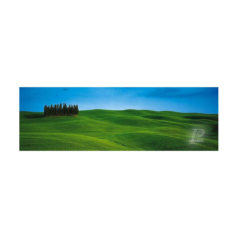 Palazzi Verlag Poster Tree Group Tuscany Leinwandprint