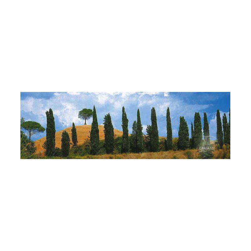 Palazzi Verlag Poster Tapet Val Dórica Tuscany
