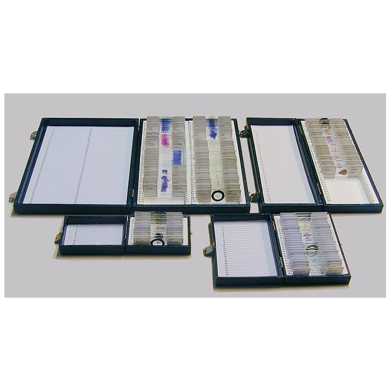 Windaus Cutie depozitare standard pentru 100 de preparate