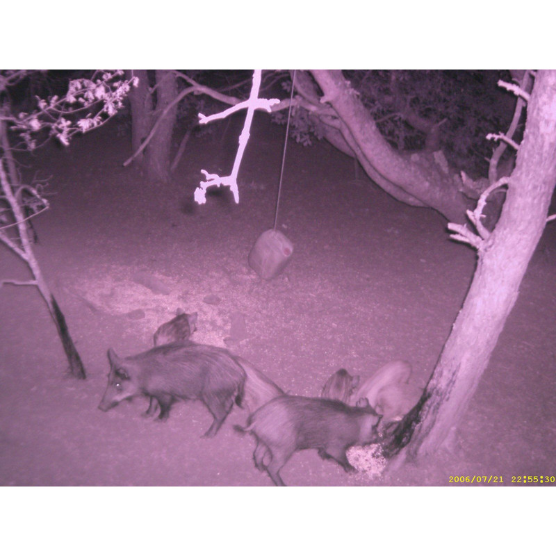 Bushnell Lanternă Lanterna RUBICON 10T1000