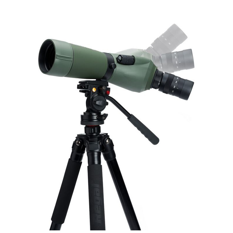 Celestron Instrument terestru REGAL M2 16-48x65 ED