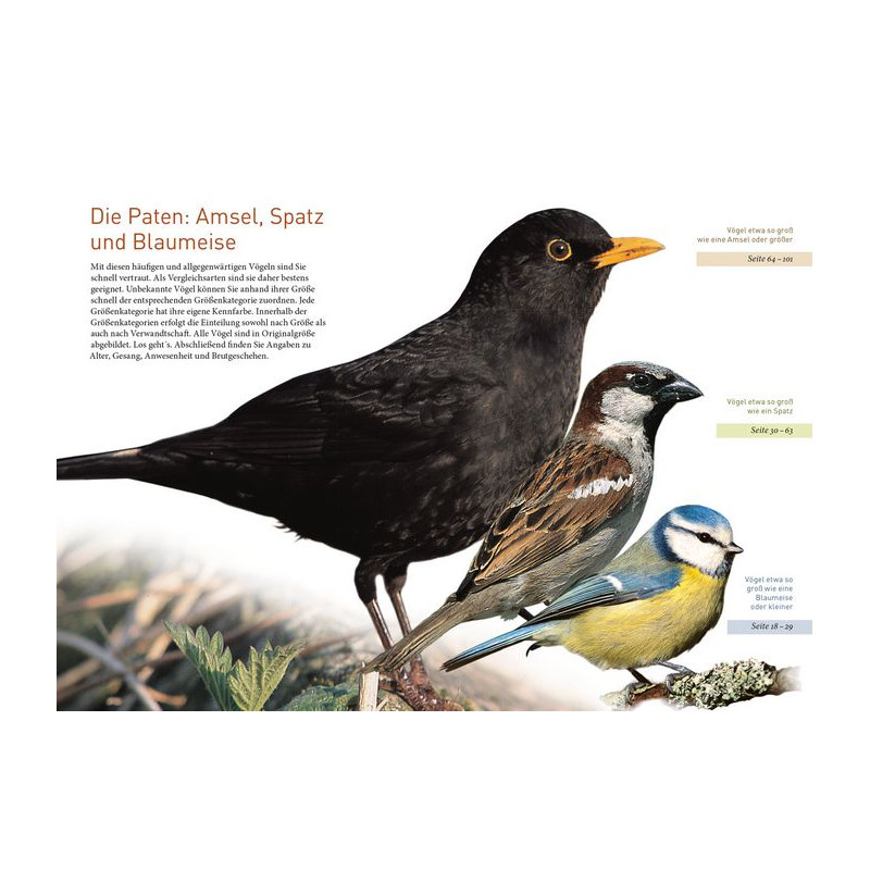 Kosmos Verlag Pasari de gradina (in germana)