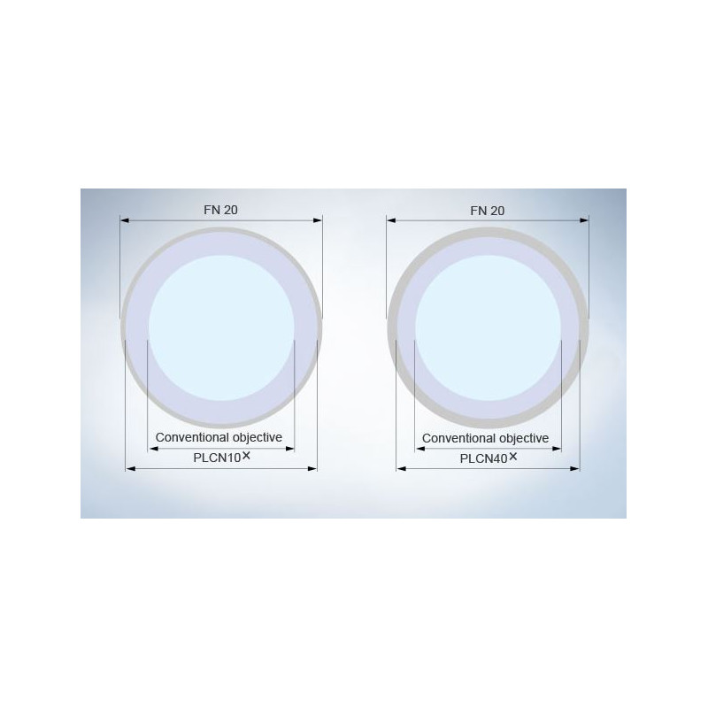 Evident Olympus Microscop CX31 bino, Hal, 40x,100x, 400x, 1000x