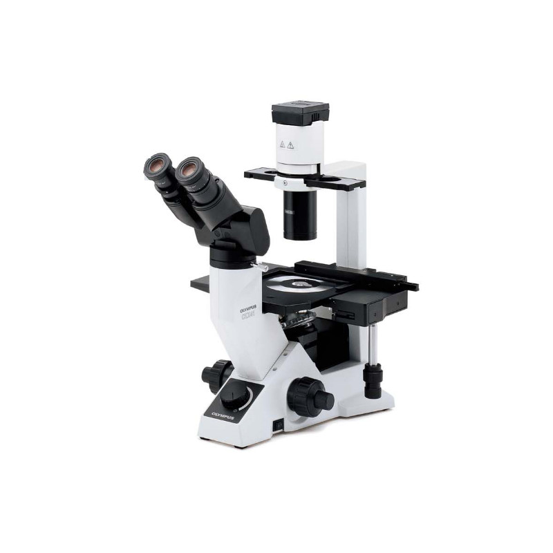 Olympus Microscop CKX41, bino, ergo, Hal, 40x, 100x, 200x, 400x