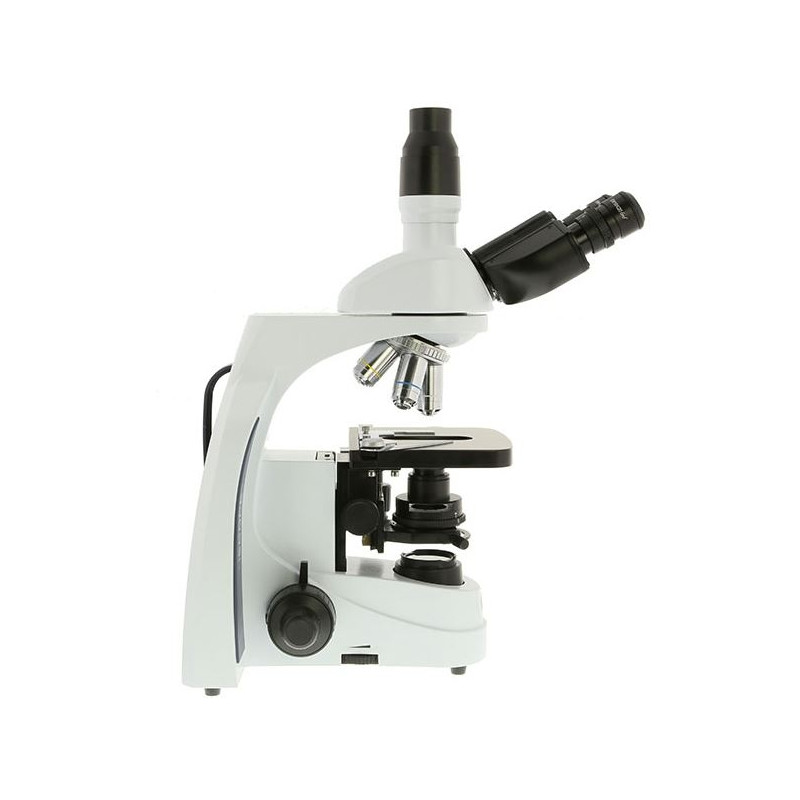 Euromex Microscop iScope IS.1153-PLPH, PH, trino, DIN, plan, 100x-1000x, LED, 3W