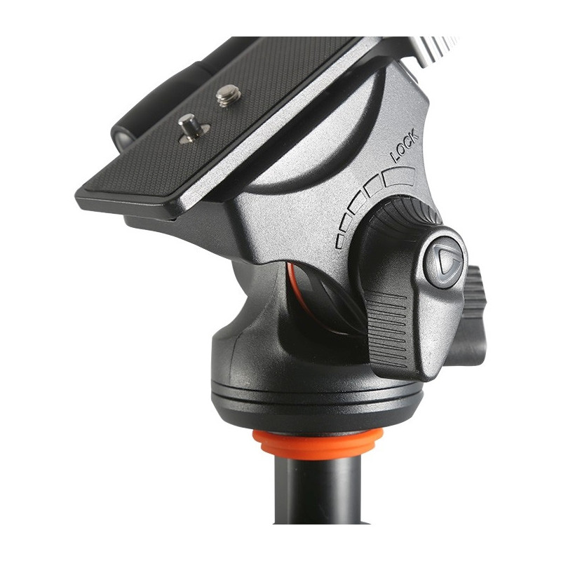 Vanguard cap panoramic pe 2 cai PH-113V Videohead