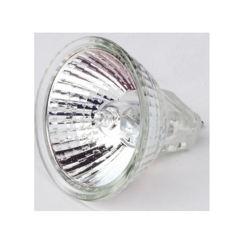 Motic Halogen pentru înlocuirea becului 12V / 10W pentru stativ R2GG (lumină reflectată) (SMZ-161)