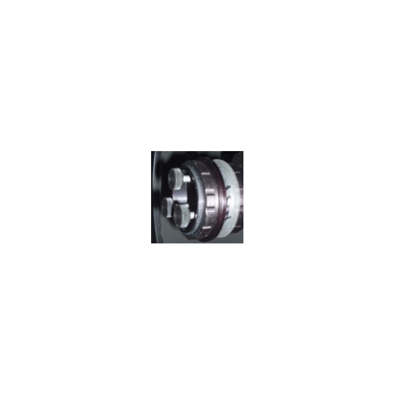Bobs Knobs Skywatcher Newton 190 secundar