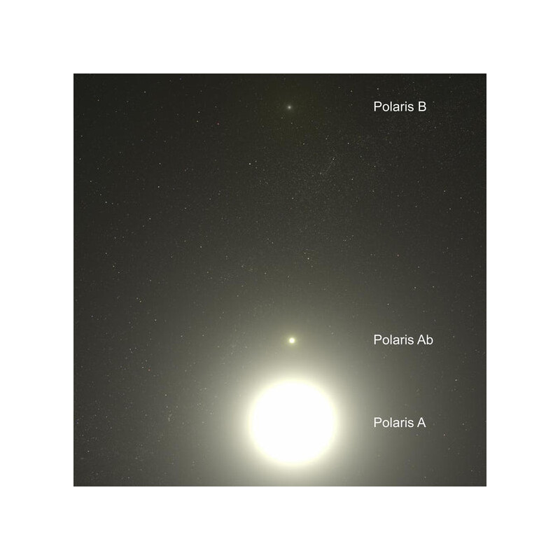 Celestial Buddies Polaris Ab și Polaris B