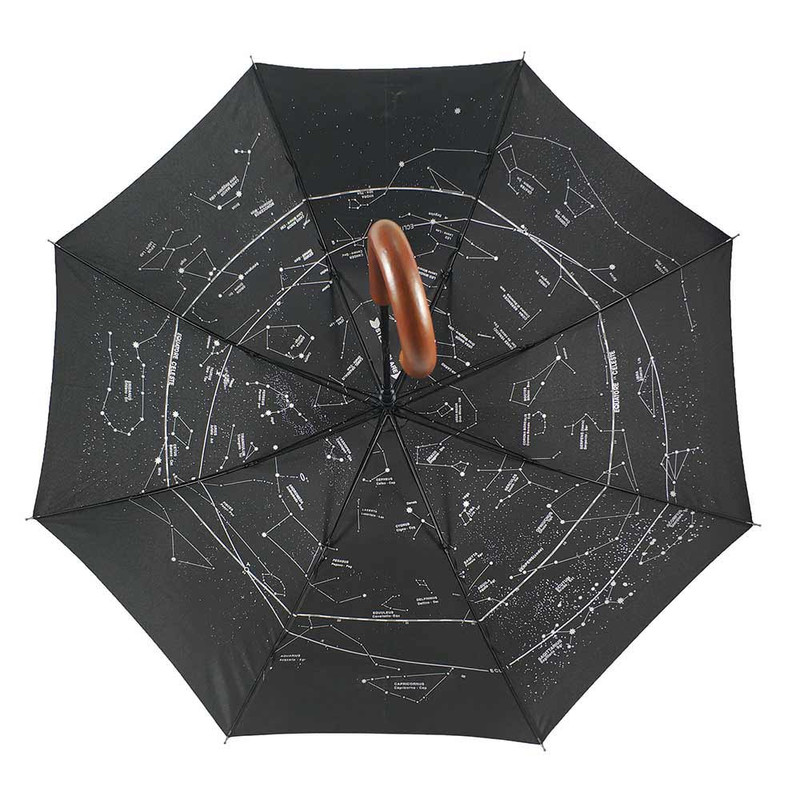 Levenhuk Umbrella Star Sky Z10