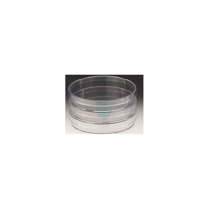 Windaus Vase Petri 94x16mm, polistiren 20 buc.