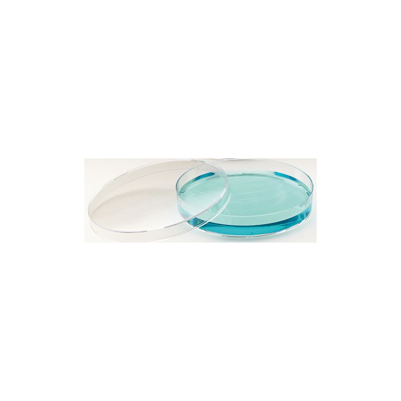 Windaus Vase Petri 94x16mm, polistiren 20 buc.