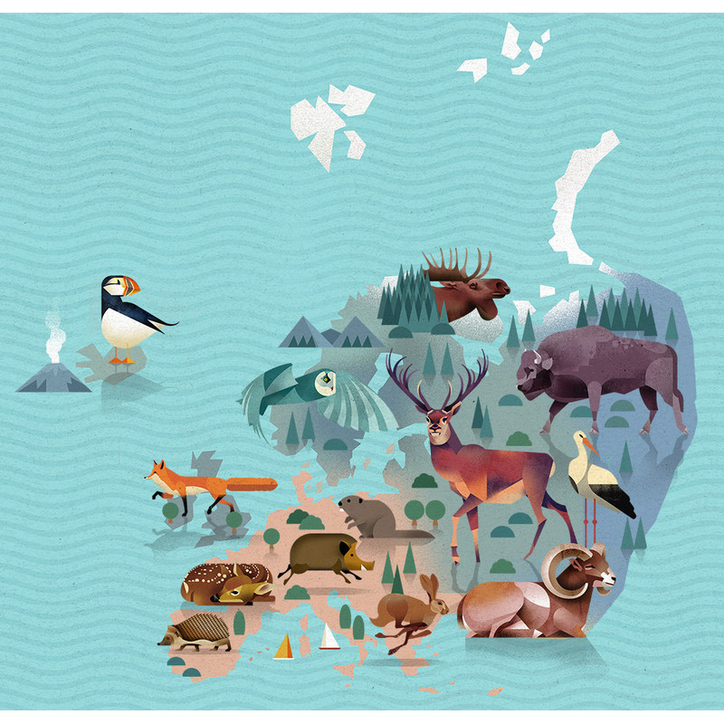 Marmota Maps Harta lumii World of Animals